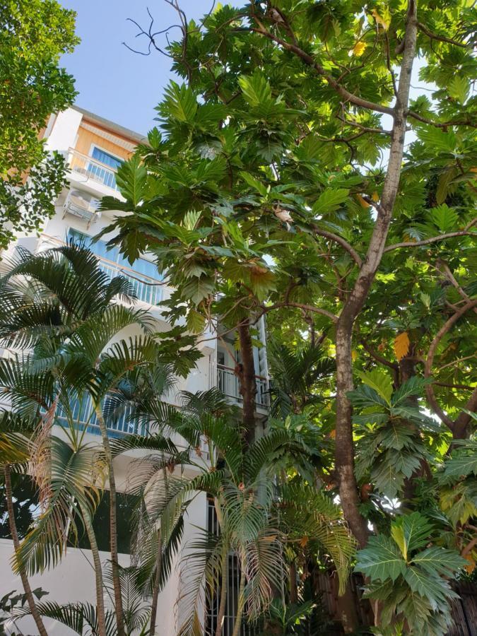 Хостел Breadfruit Чіангмай Екстер'єр фото